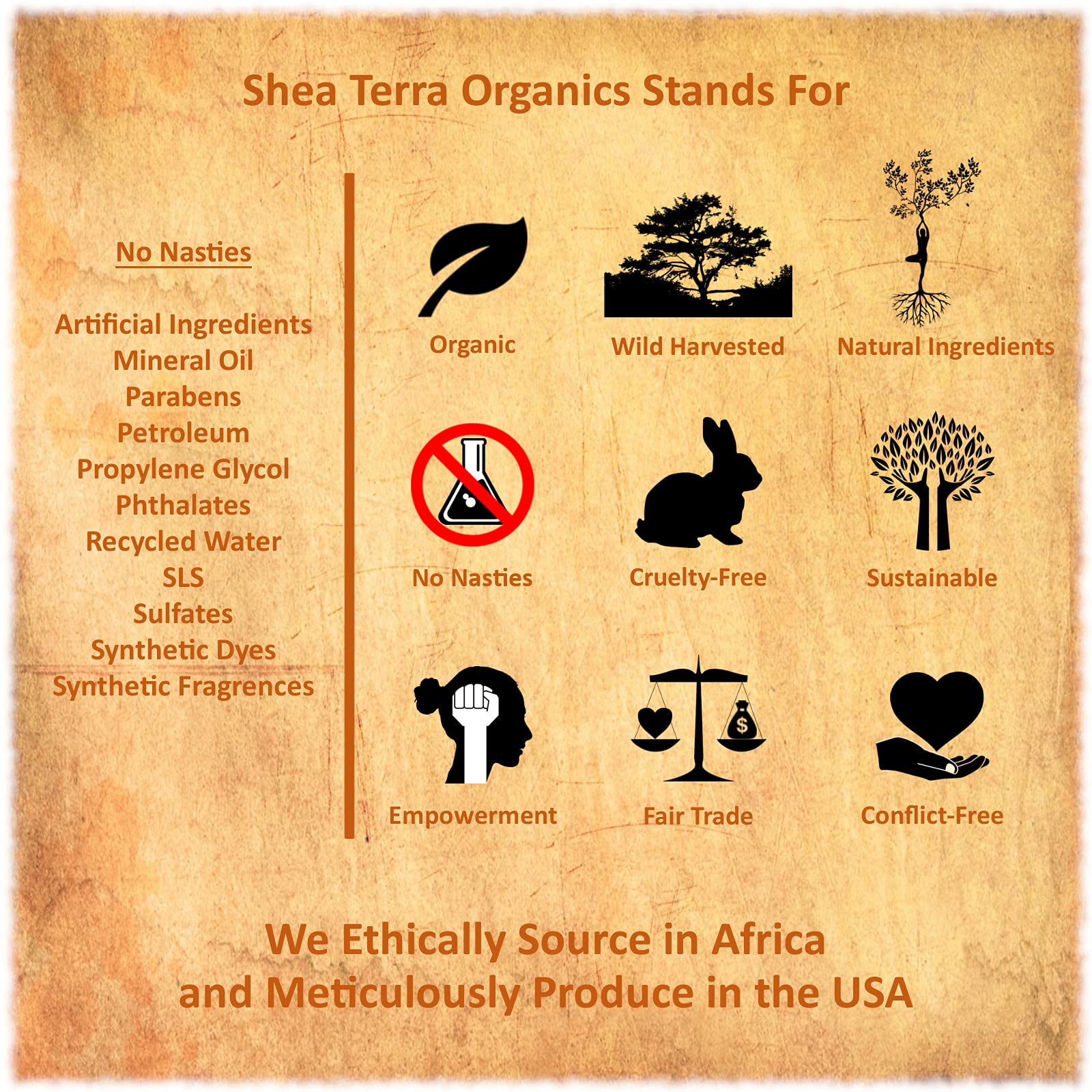 Shea Terra Organics 100 Percent Pure Egyptian Black Castor Extra Virgin Oil – Argan and Amla | All-Natural Strengthening and Conditioning Hair Oil for Healthy Hair Growth and Scalp– 8 oz